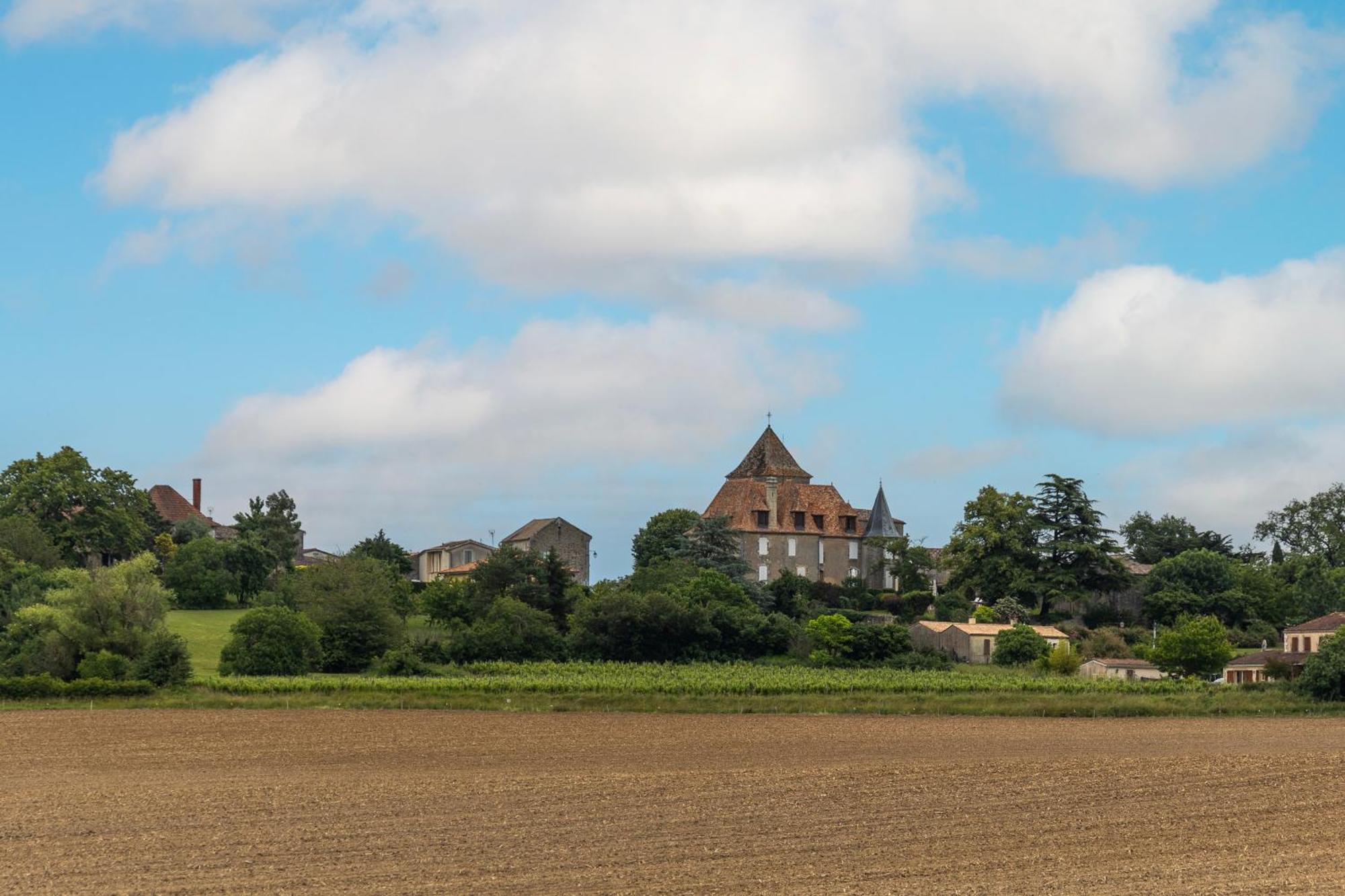 Villa Gurson Carsac-de-Gurson Eksteriør bilde